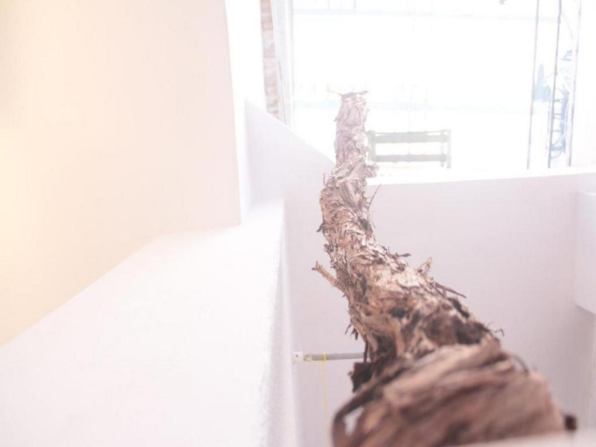 Studio Toniko Lejlighed *